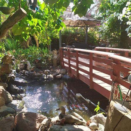 Lotus Turtle Garden Eilat Lejlighed Eksteriør billede