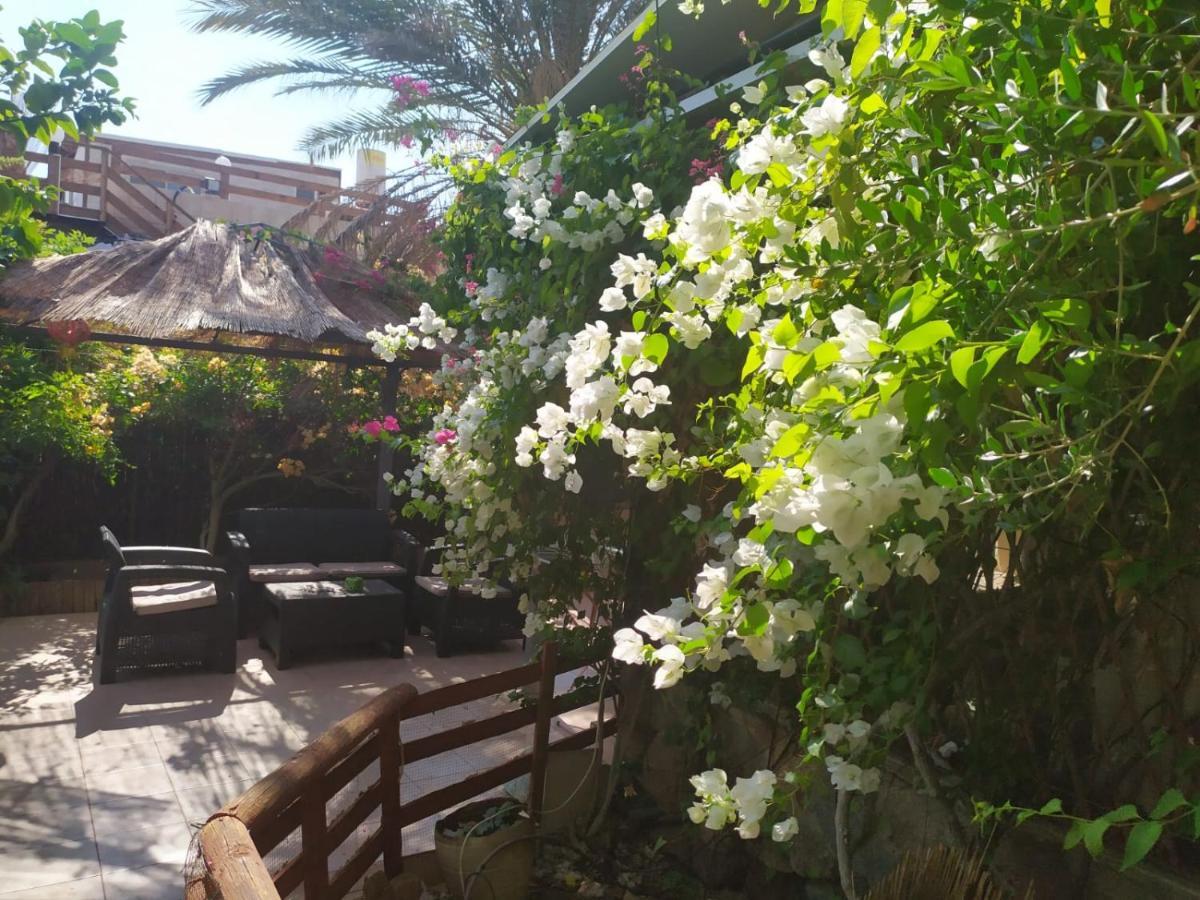 Lotus Turtle Garden Eilat Lejlighed Eksteriør billede
