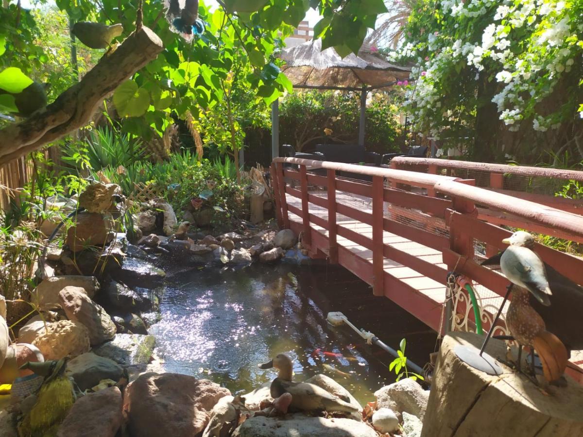 Lotus Turtle Garden Eilat Lejlighed Eksteriør billede