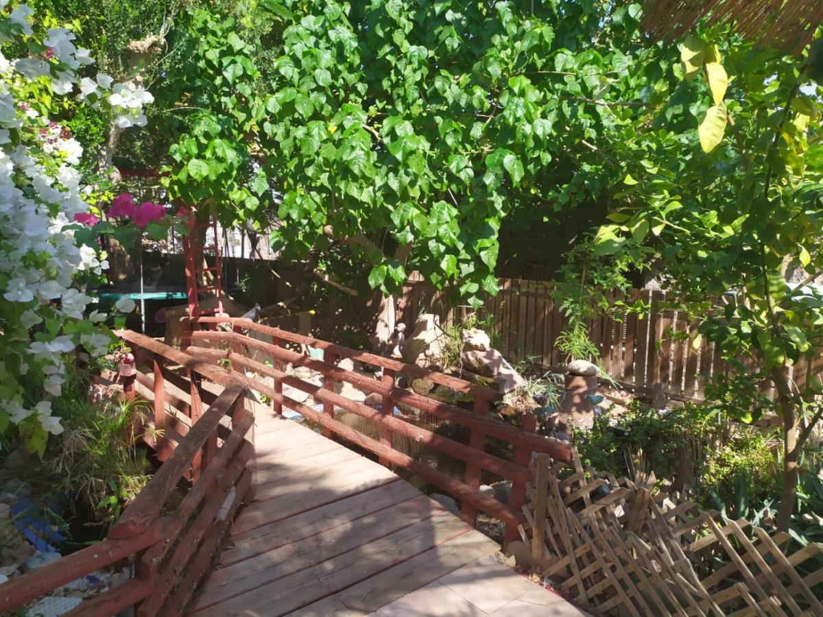 Lotus Turtle Garden Eilat Lejlighed Eksteriør billede