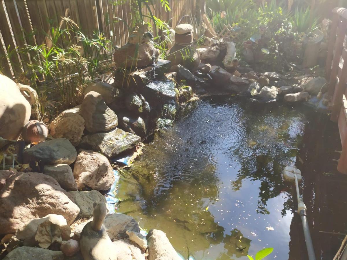 Lotus Turtle Garden Eilat Lejlighed Eksteriør billede